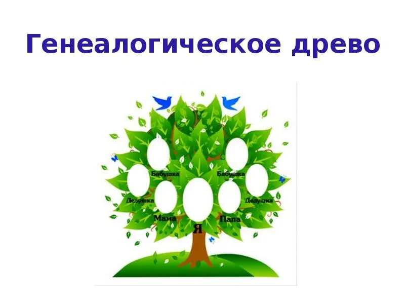 Родословное древо презентация 2 класс. Генеалогическое дерево. Генеалогическое дерево для дошкольников. Проект генеалогическое Древо моей семьи. Семейное дерево для презентации.