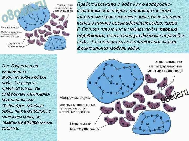 Связанное состояние воды. Физически связанная вода в грунтах. Классификация воды свободная и связанная.