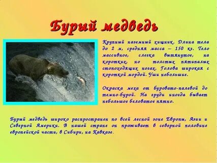 Подготовить сообщение о диких животных вашего края