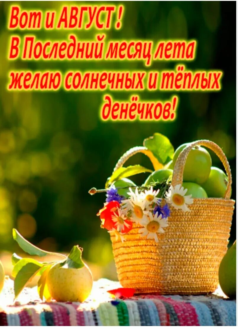 Поздравление с Августом. Доброго августовского дня. Доброе августовское утро. Хорошего августа. Утро август пожелания