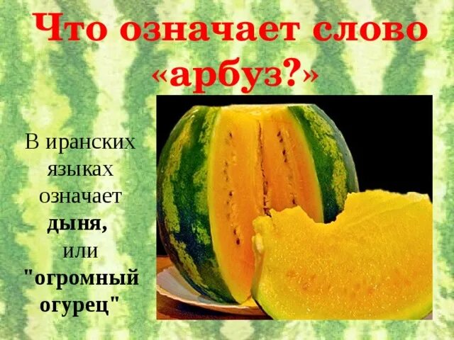 Какое значение имеет слово арбуз. Какое значение имеет слово арбуз