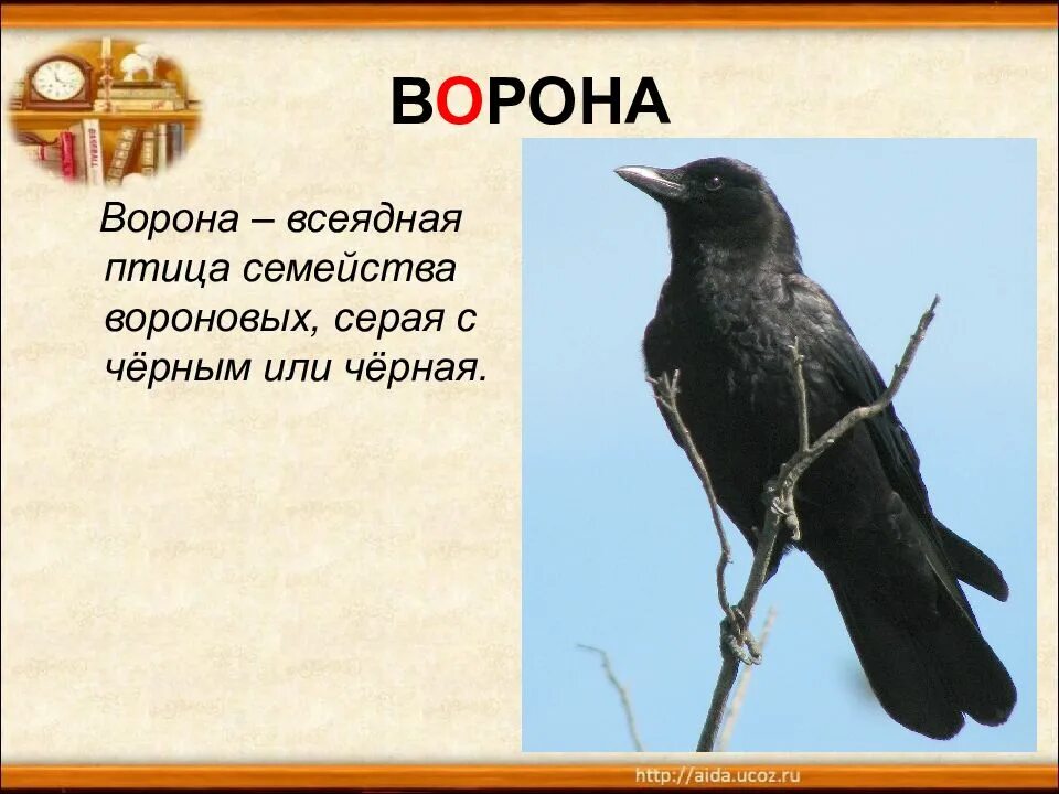 Лексическое слово черный. Предложение о вороне. Ворона предложение. Стих ворона. Птицы семейства вороновых.