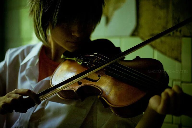 Музыка которую играют на скрипке. Парень со скрипкой. Человек со скрипкой. Скрипач со спины. Парень играет на скрипке.