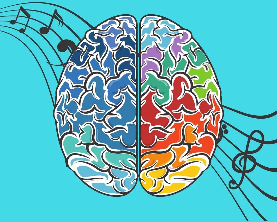 Развитие двух полушарий. Мозг музыканта. Активность мозга. Развитость полушарий мозга. Мозг рисунок.