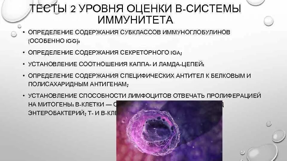 Иммунологические тесты 1 уровня. Тесты 2 уровня иммунного статуса. Тесты первого и второго уровня иммунология. Оценка иммунного статуса иммунология.