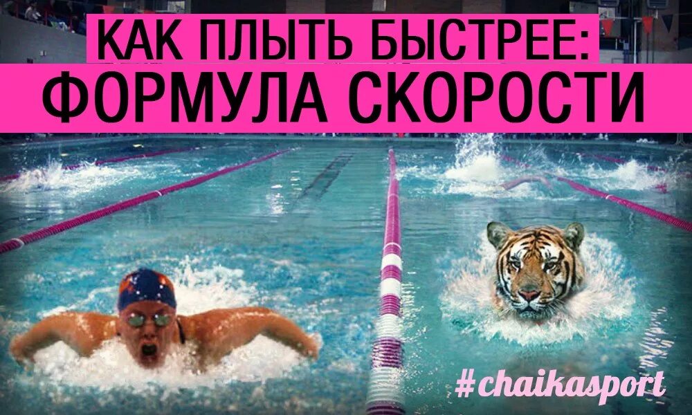 Скорость проплыть 50 метров. Скорость проплыть 50 метров. Проплыть 50 метров за 1 минуту. 50 в/с плавание. Скорость пловца в воде.