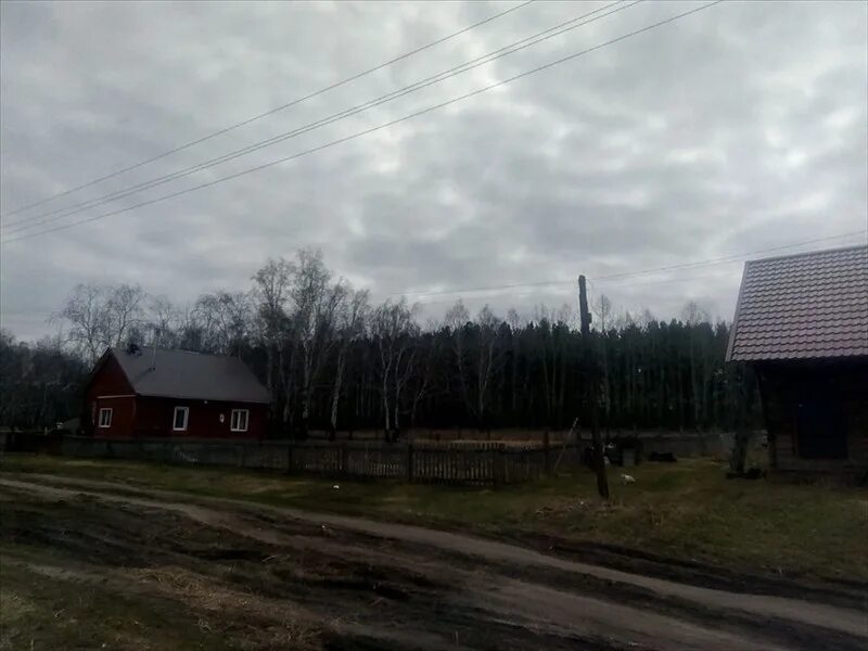 Бурановка Павловский район Алтайский край. Поселок Бурановка Павловский район. Бурановка Алтайский край Романовский район. Бурановка улица Алтайская.