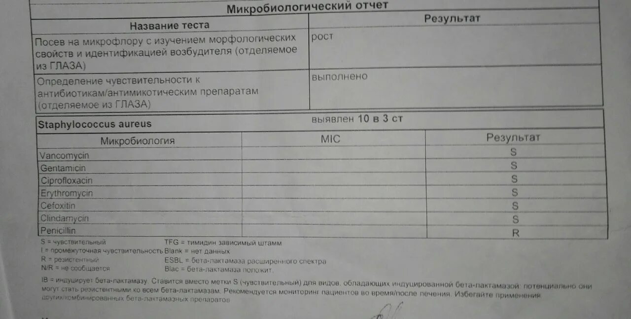 Посев из глаза на микрофлору. Esbl чувствительность к антибиотикам. посев на флору из уха. микробиологический отчет расшифровка. микробиологическое заключение.