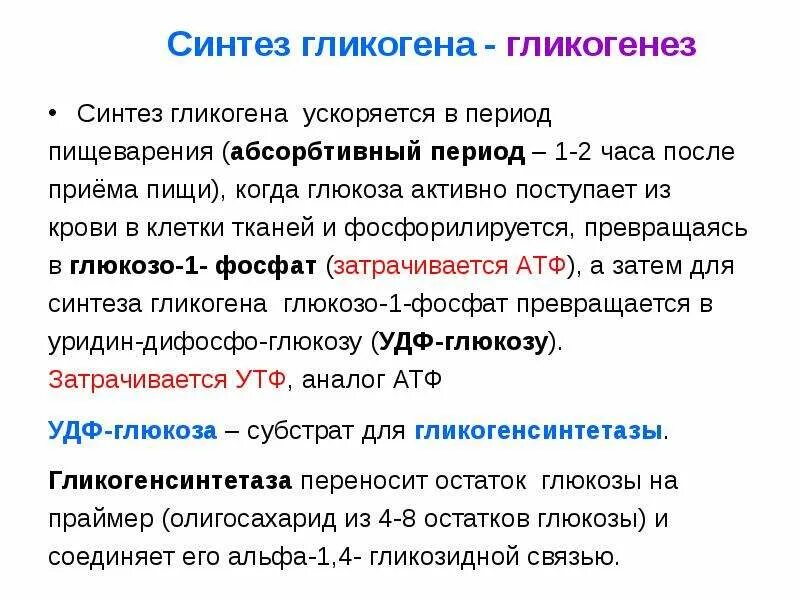 13 синтезы. Синтез гликогена гликогенез. Синтез гликогена (гликогеногенез).. "Гликогеногенез — Биосинтез гликогена".