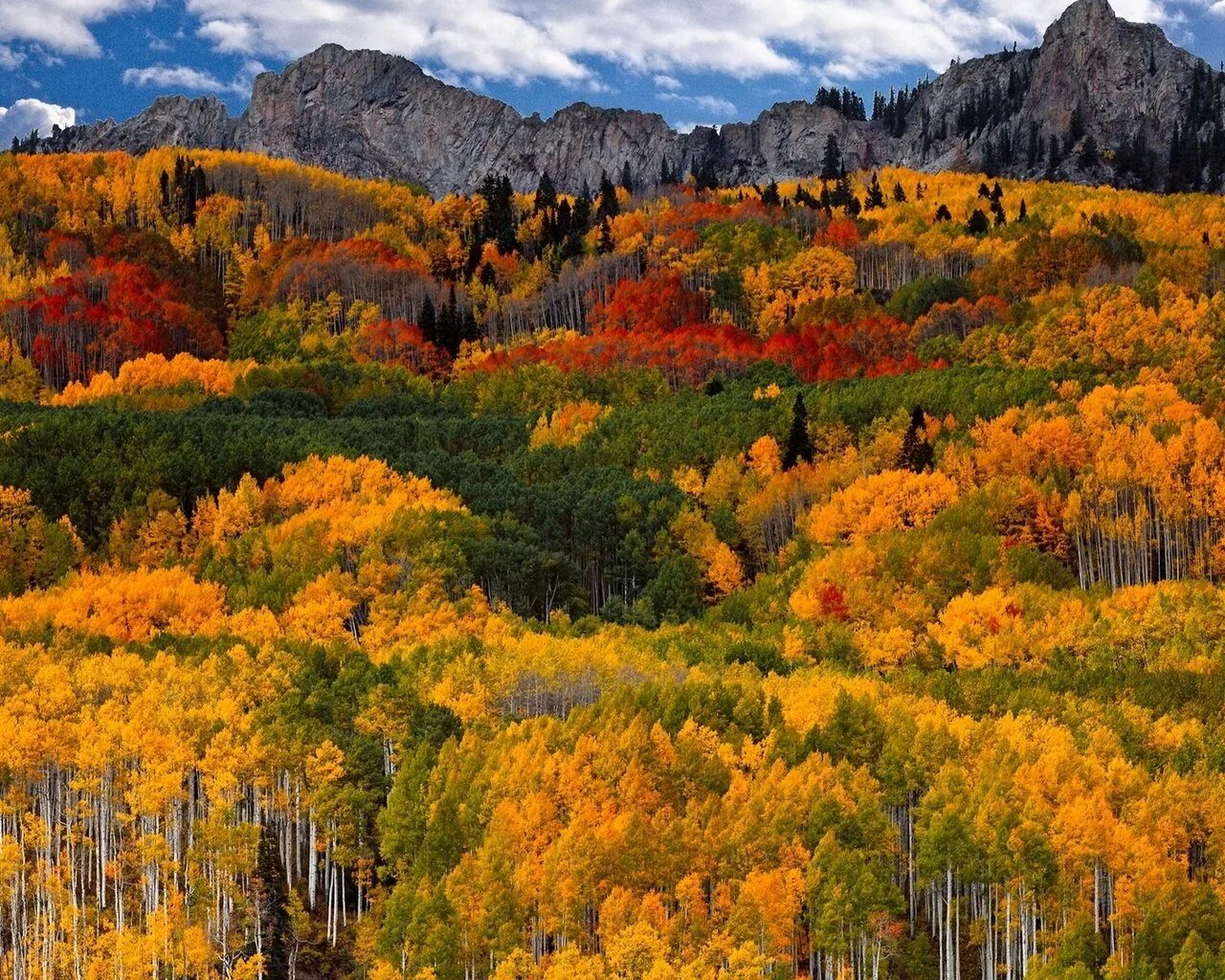 Былым осенью. Осенний лес. Осень в лесу. Осень в горах. Осень в Канаде.