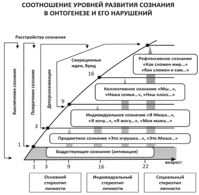 Память в онтогенезе. Схема онтогенеза психики. Развитие психики и сознания человека в онтогенезе. Становления сознания в онтогенезе.. Этапы развития психики человека онтогенезе.