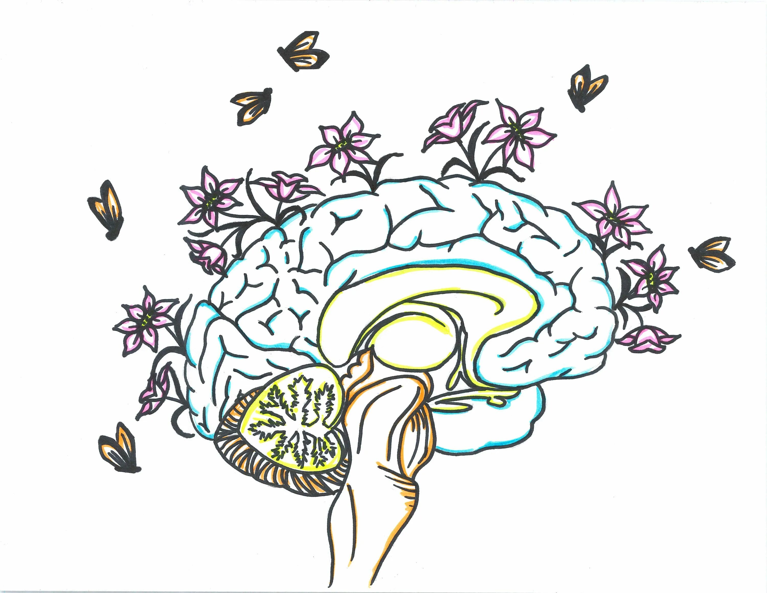 Музыка для стимуляции мозга концентрации внимания. Мозг с цветами. Головной мозг в цветах. Мозг с цветочками. Мозг рисунок.