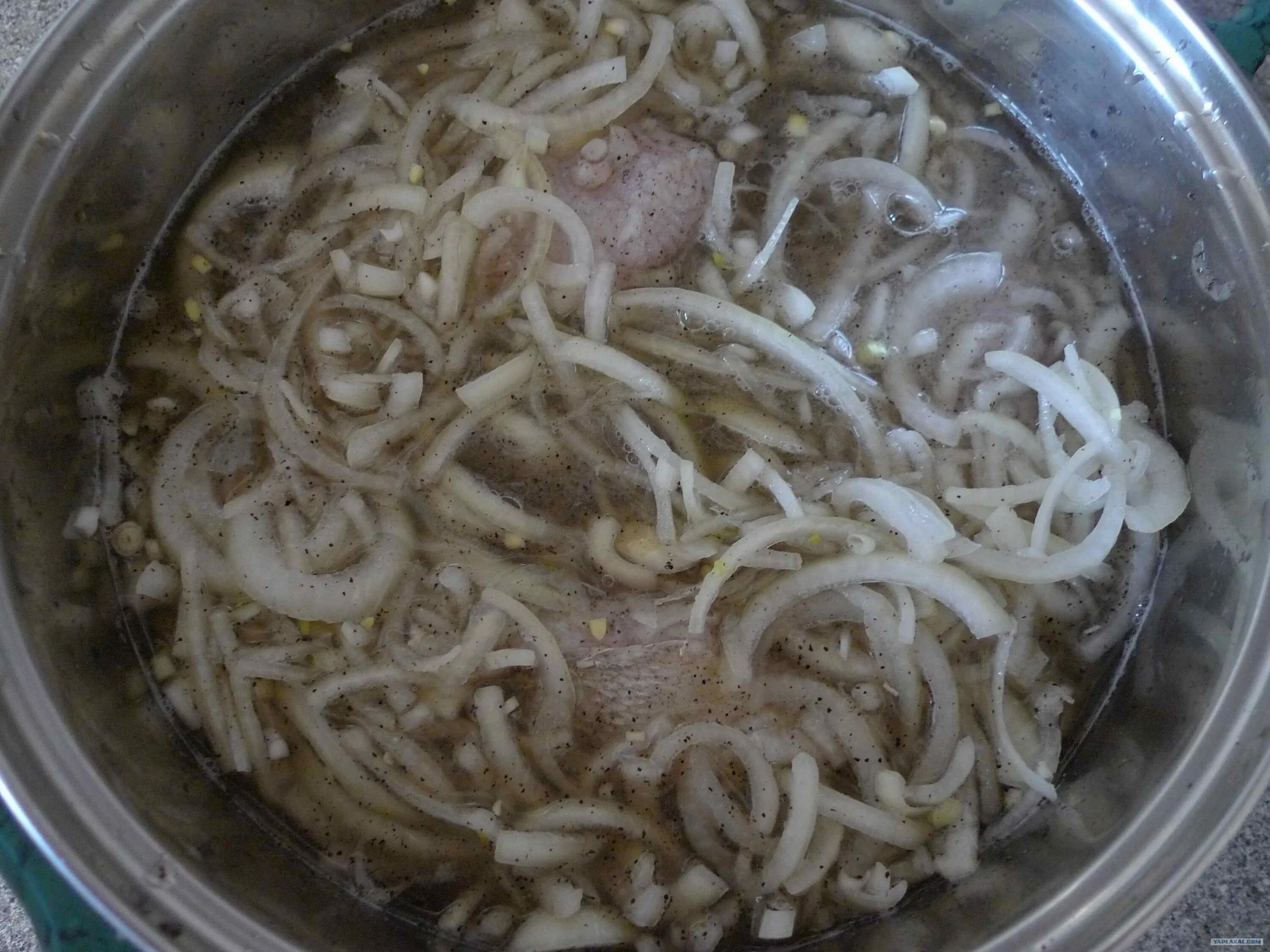 Рыба по казачьи. Маринад рыбы судак. Маринованный судак в уксусе. Судак с яичным соусом. Селедка по домашнему.