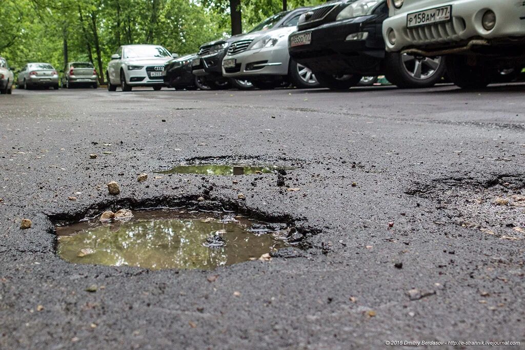 После дождя завелся. Уж на дороге. Лужа на дороге. Лужи на асфальте. Грязь на асфальте.