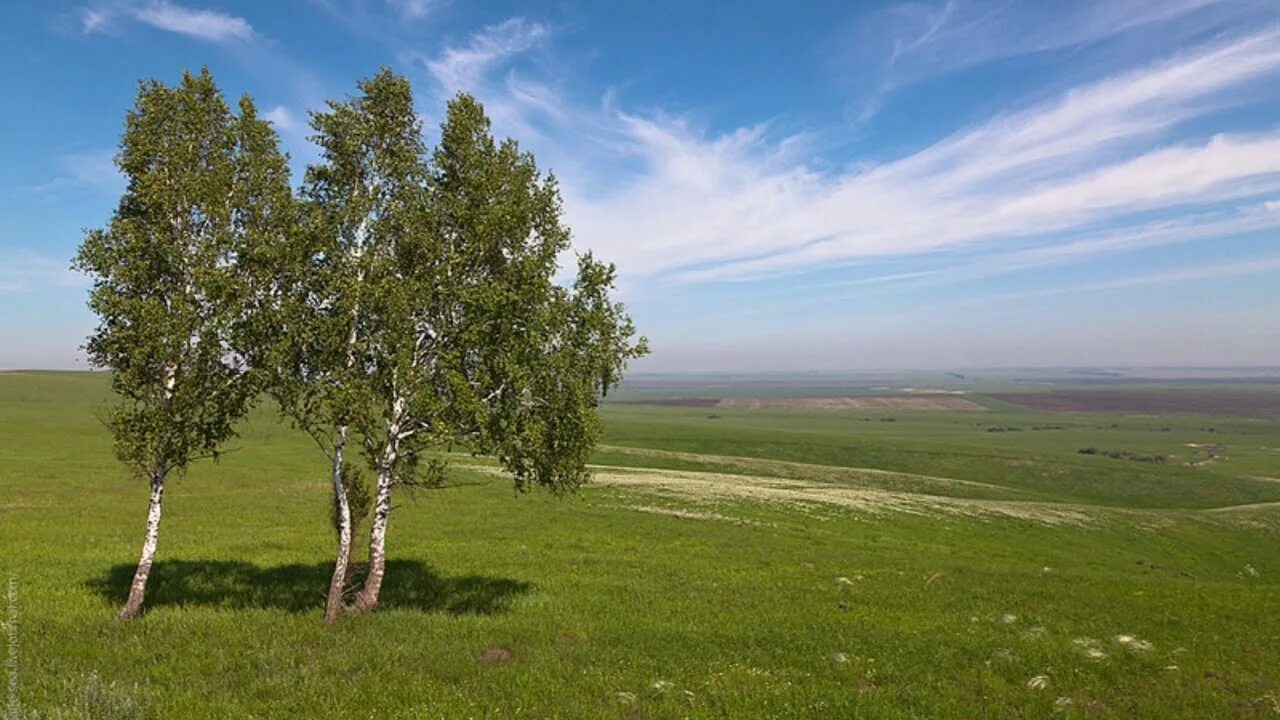 Родина картинки. Родина Россия. Просторы нашей Родины. Российская Федерация природа. Моя Родина Сибирь.