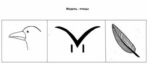 Схема модель животных