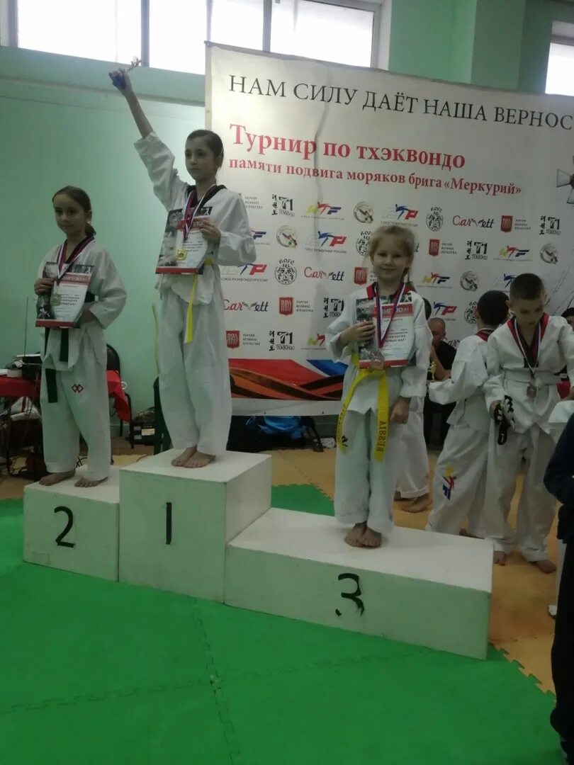 "школы тхэквондо россии". Тхэквондо гтф. Тхэквондо гтф в архангельске. Тхэквондо втф комплекс. Тхэквондо воронеж.