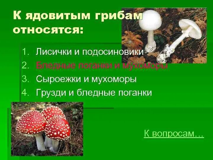 Активный образ жизни относится к грибам. Бледная поганка относится к группе грибов. К ядовитым грибам относятся. К ядовитым грибам относят:. К несъедобным грибам относятся.