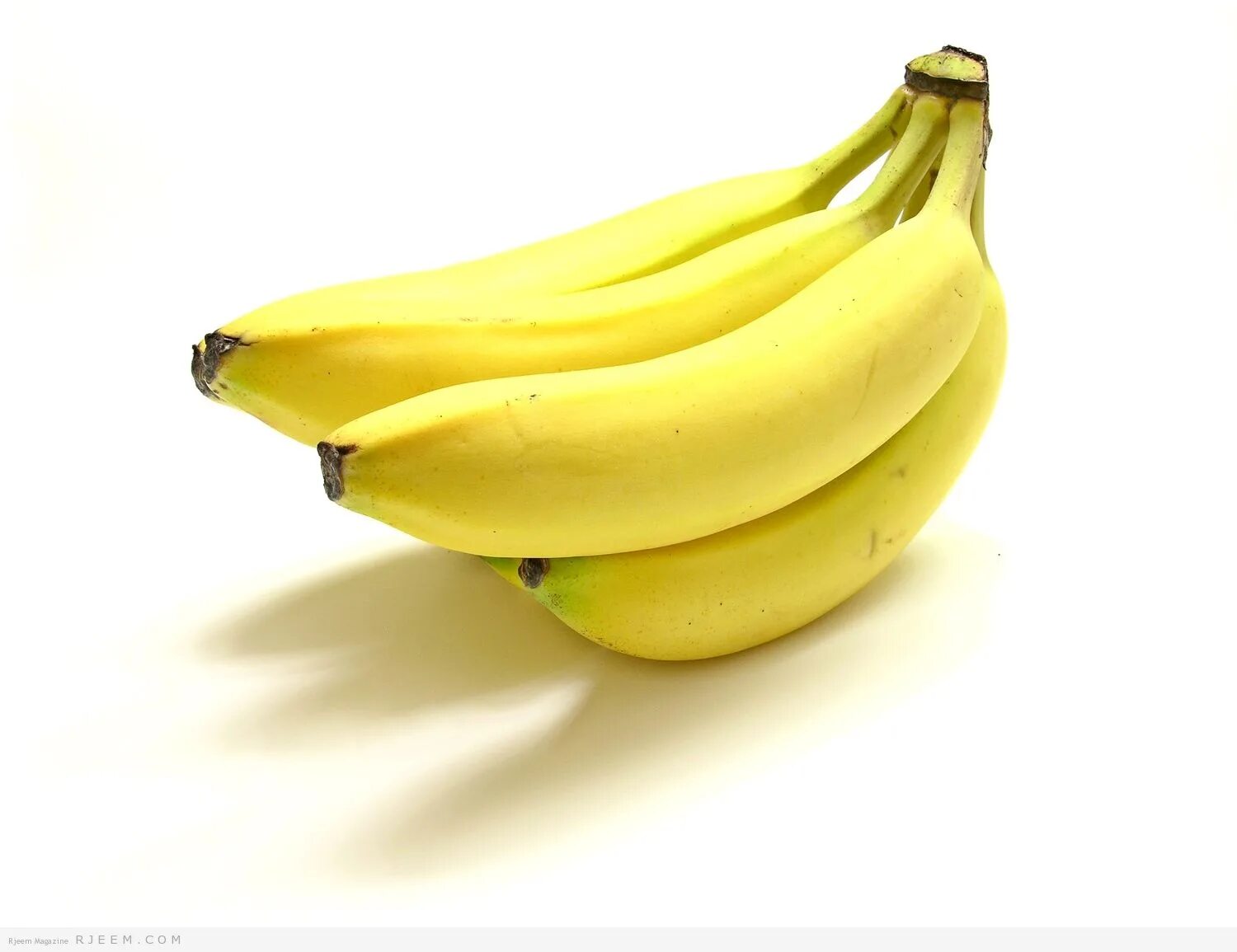 Маленький сорт бананов. Фрукты банан. Плодоножка у банана. Банан. Демо бананы.