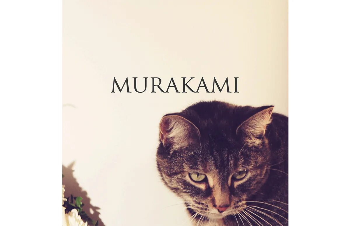 Мураками бред. Мураками обложки альбомов. Музыка Мураками. Не спеши Мураками.