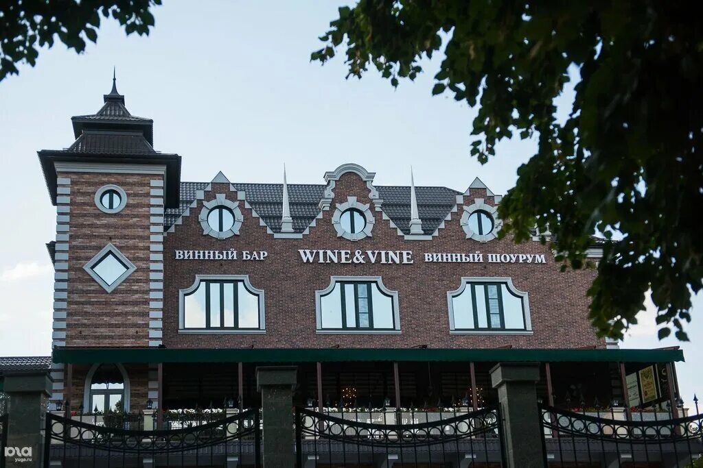 виноградная лоза вино. Wine vine. водэн, вин. Wine vine. вино из конопли.