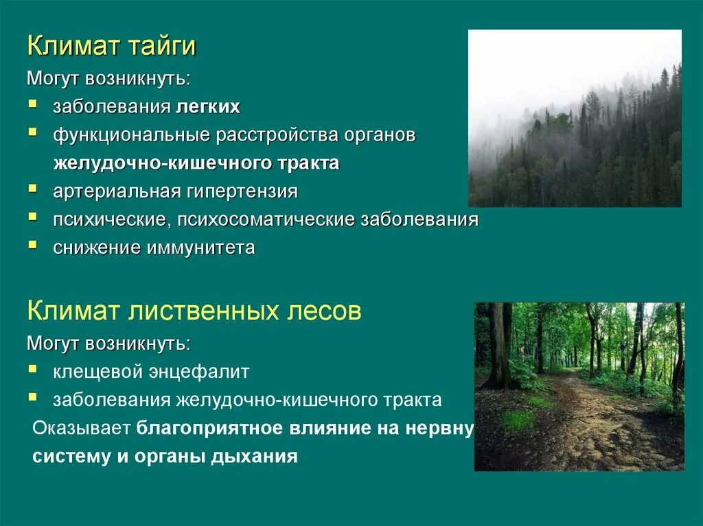 Тайга температура января и июля