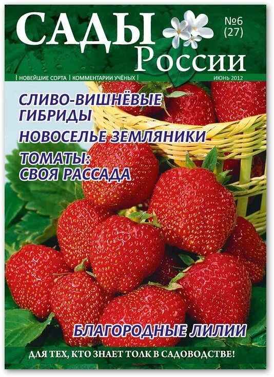 Сайт сады россии челябинск каталог