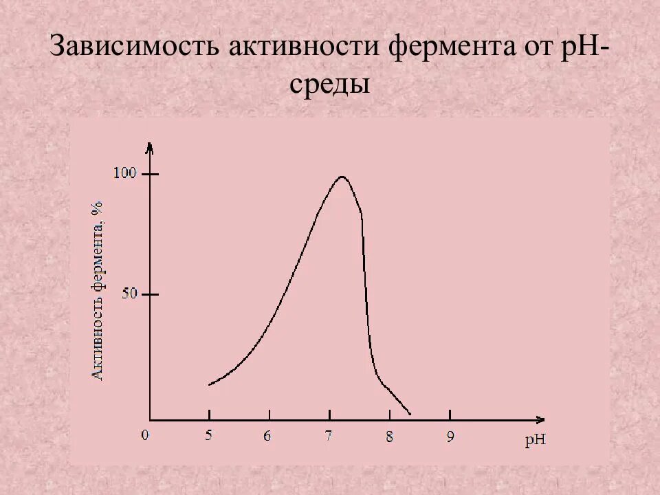 График зависимости фермента от температуры. Зависимость активности ферментов от PH. Зависимость активности фермента от РН среды. Зависимость ферментативной активности от PH среды. Зависимость активности ферментов от PH среды.