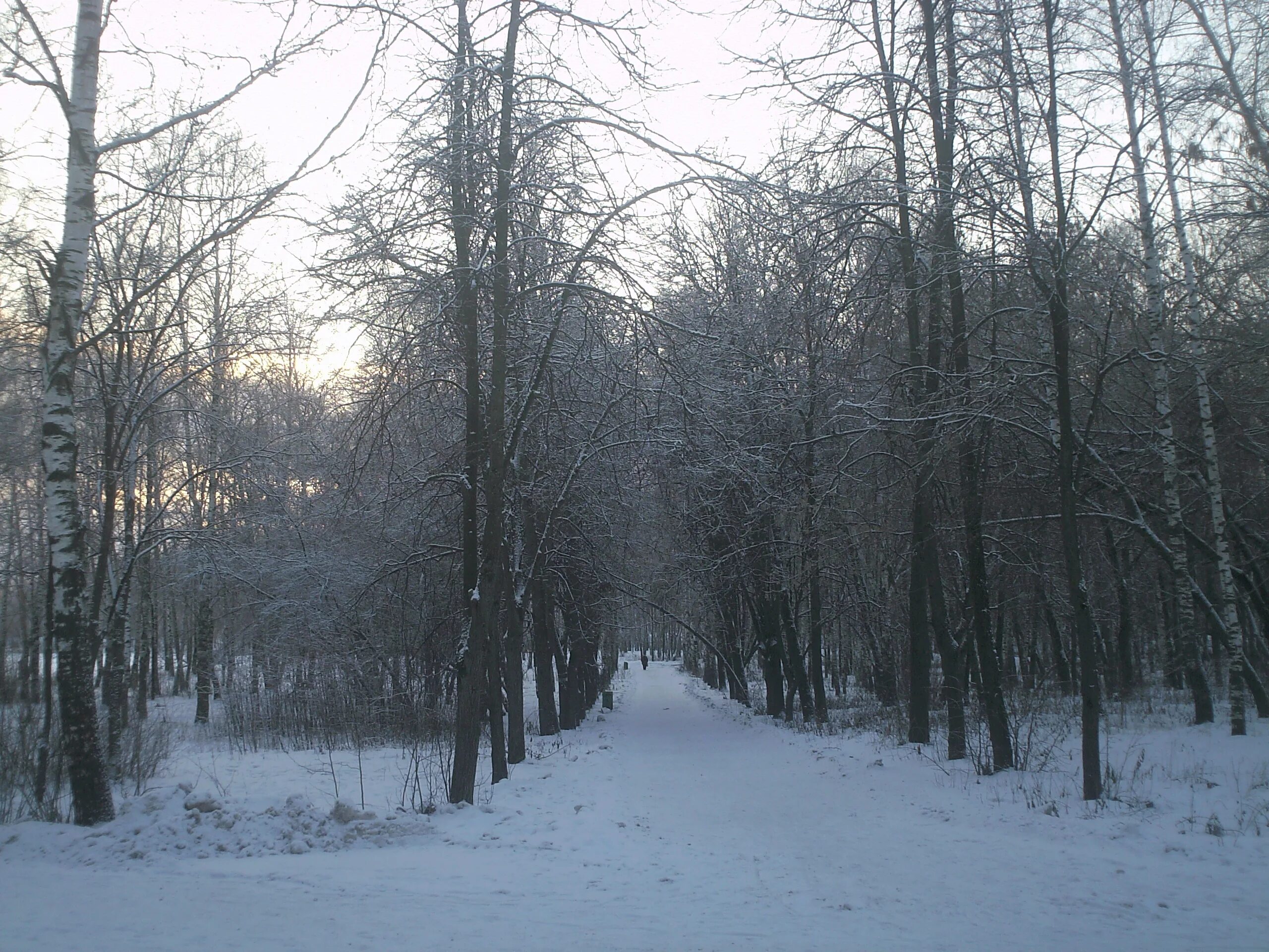 Светлоярский парк нижний новгород