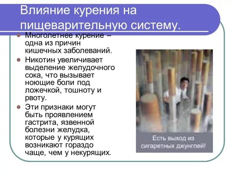 Влияние табачного дыма на органы пищеварительного тракта. Влияние табакокурения на пищеварительную систему. Никотин влияет на желудок. Влияние курения на органы пищеварения. Влияние курения на пищеварение.