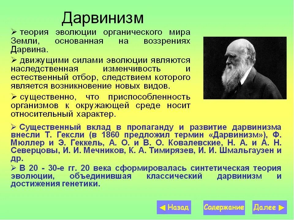 Дарвин. Дарвинизм. Теория дарвинизма. Концепция дарвинизма. Теория Дарвина о происхождении видов.