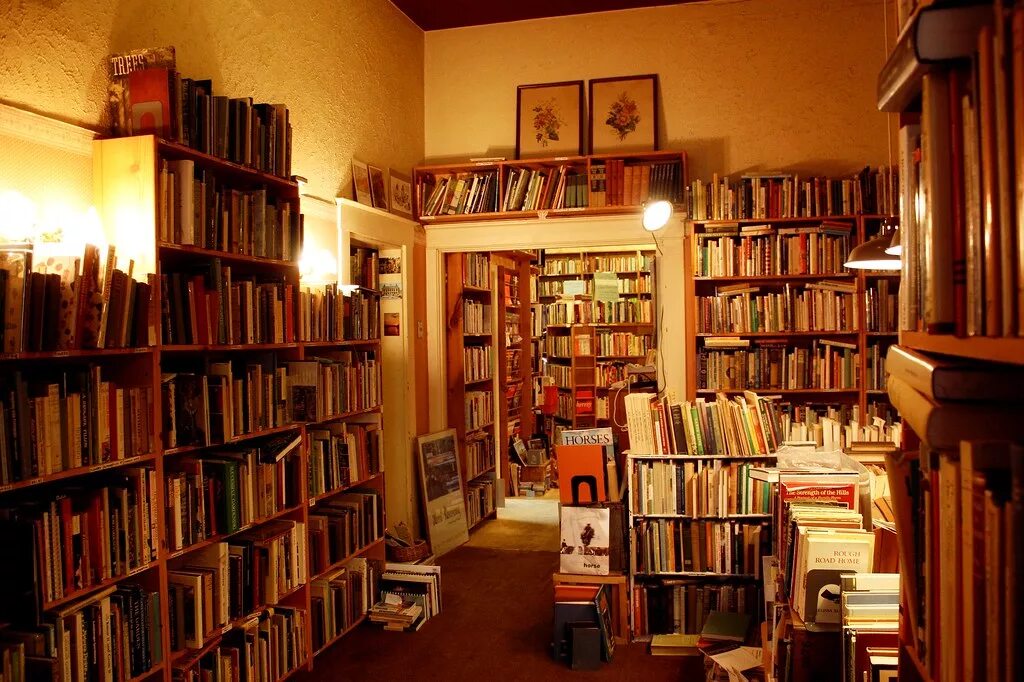 Книги на дом в библиотеке. Антибиблиотека умберто эко. Библиотека эстетика. Tiny bookworm. Библиотека дом книги.