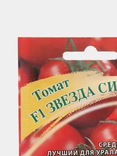 Звезды сибири отзывы