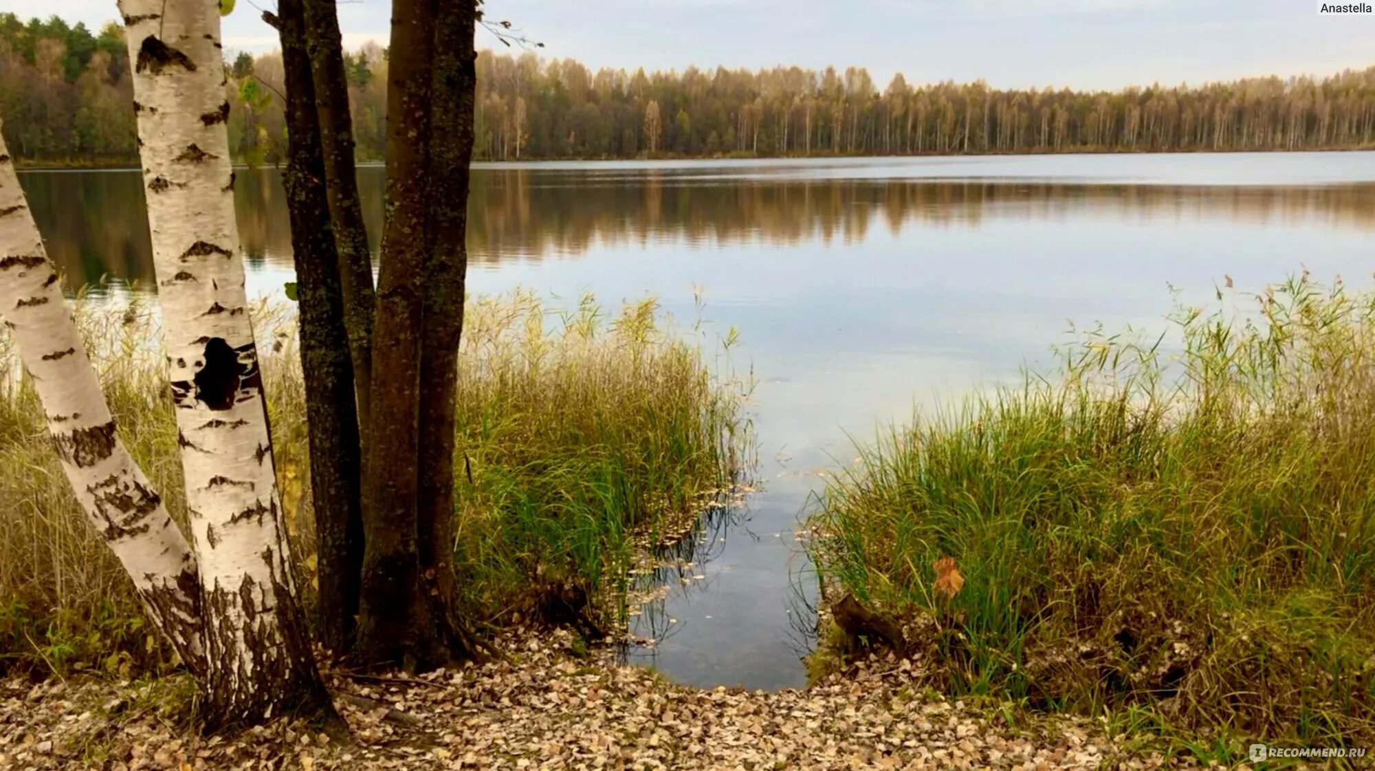 Озеро Светлояр Нижегородская. Озеро Светлояр Марий Эл. Аллея возле озера Светлояр Нижегородская. Светлояр Кострома. Град в озерах