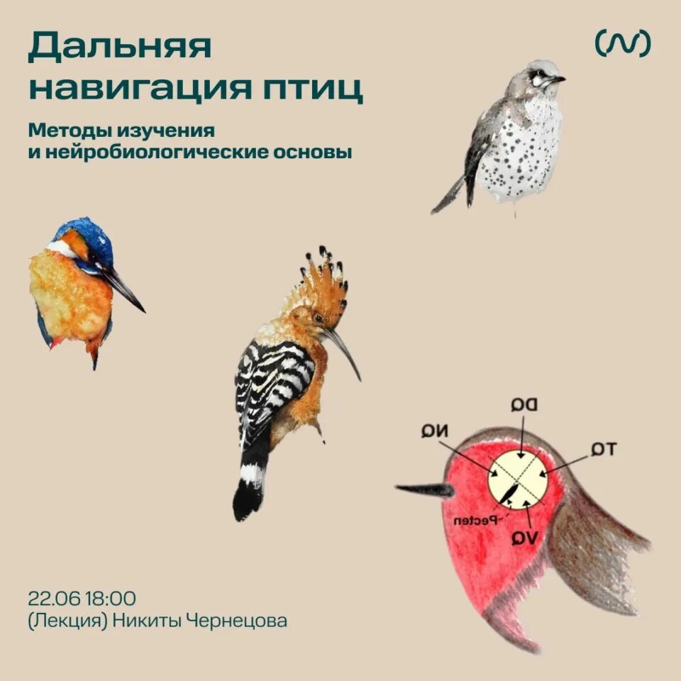 система "альфа" (рсдн-20). дальняя навигация. система рсдн. радиосистемы дальней навигации. дальняя навигация.
