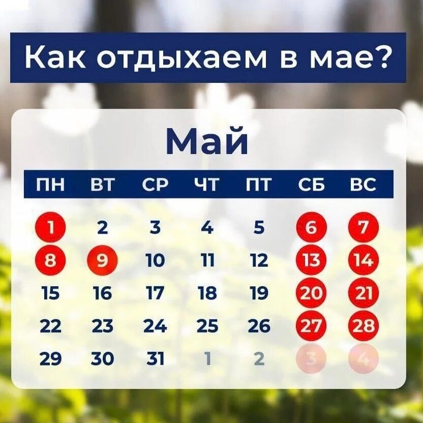 Отдых 1 мая 2024 сколько дней. Праздники в мае. Праздничные дни в году. Выходные дни в майские праздники. Майские праздники 2023.