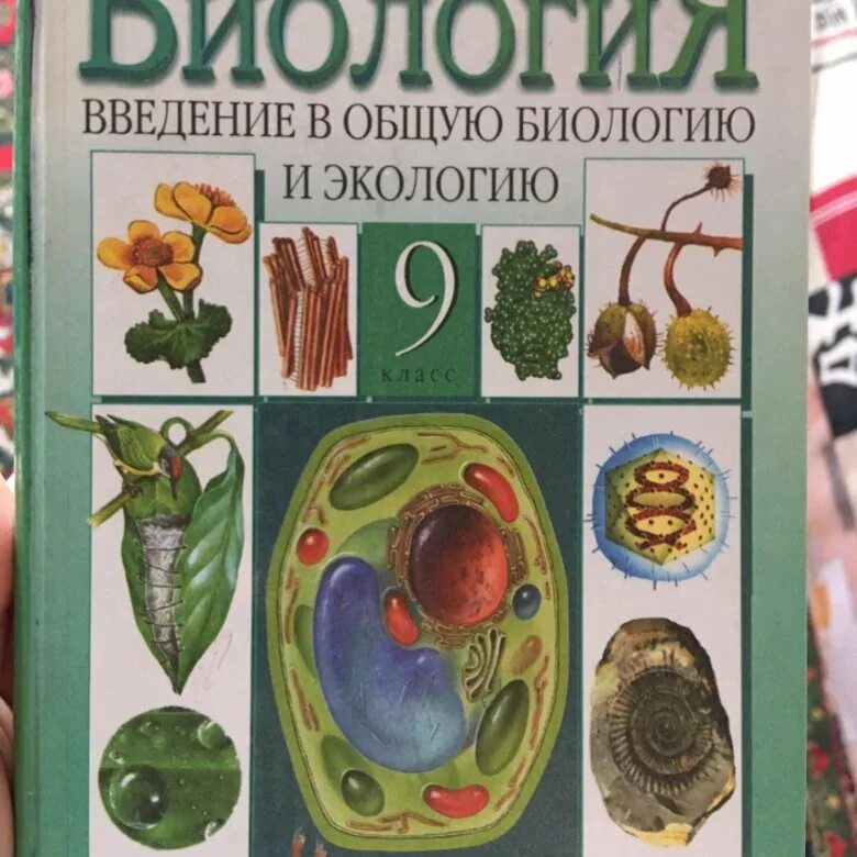 Соломина биология 9 класс. Криксунов е.а., Пасечник в.в. экология, 10-11 класс. Учебник по биологии. Биология 9 класс Пасечник. А.А. Каменский “общая биология”.