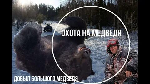 Охота на медведя в сибири