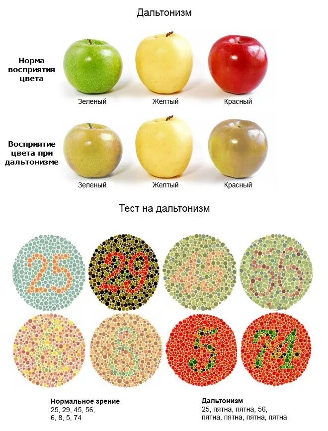 Разные восприятия цветов. Заболевание глаз дальтонизм. Дальтонизм красный зеленый желтый. Дальтонизм и другие нарушения цветового зрения. Нарушения зрения дальтонизм.