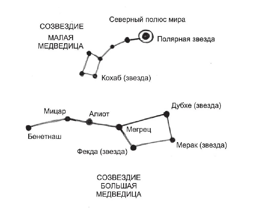 Созвездие малой медведицы какие звезды. Полярная звезда в малой Медведице. Большая и малая Медведица Созвездие Полярная звезда. Большая и малая Медведица Созвездие схема. Созвездие малой медведицы схема.