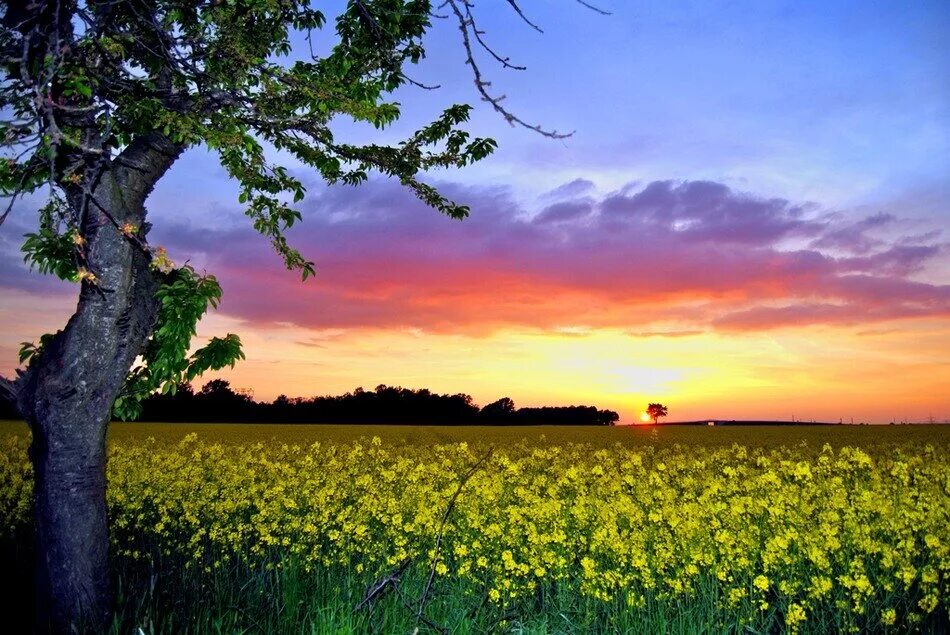 умиротворяющая природа. фотографии гармонии природы. природа гармонична. гармония человека и природы. элизабет гэдд.