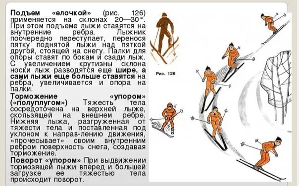Темы рефератов по физкультуре 4 класс. Доклады по физкультуре на лыжную тему. презентация по физической культуре лыжная подготовка. доклад по физкультуре по лыжам. проект лыжная подготовка.