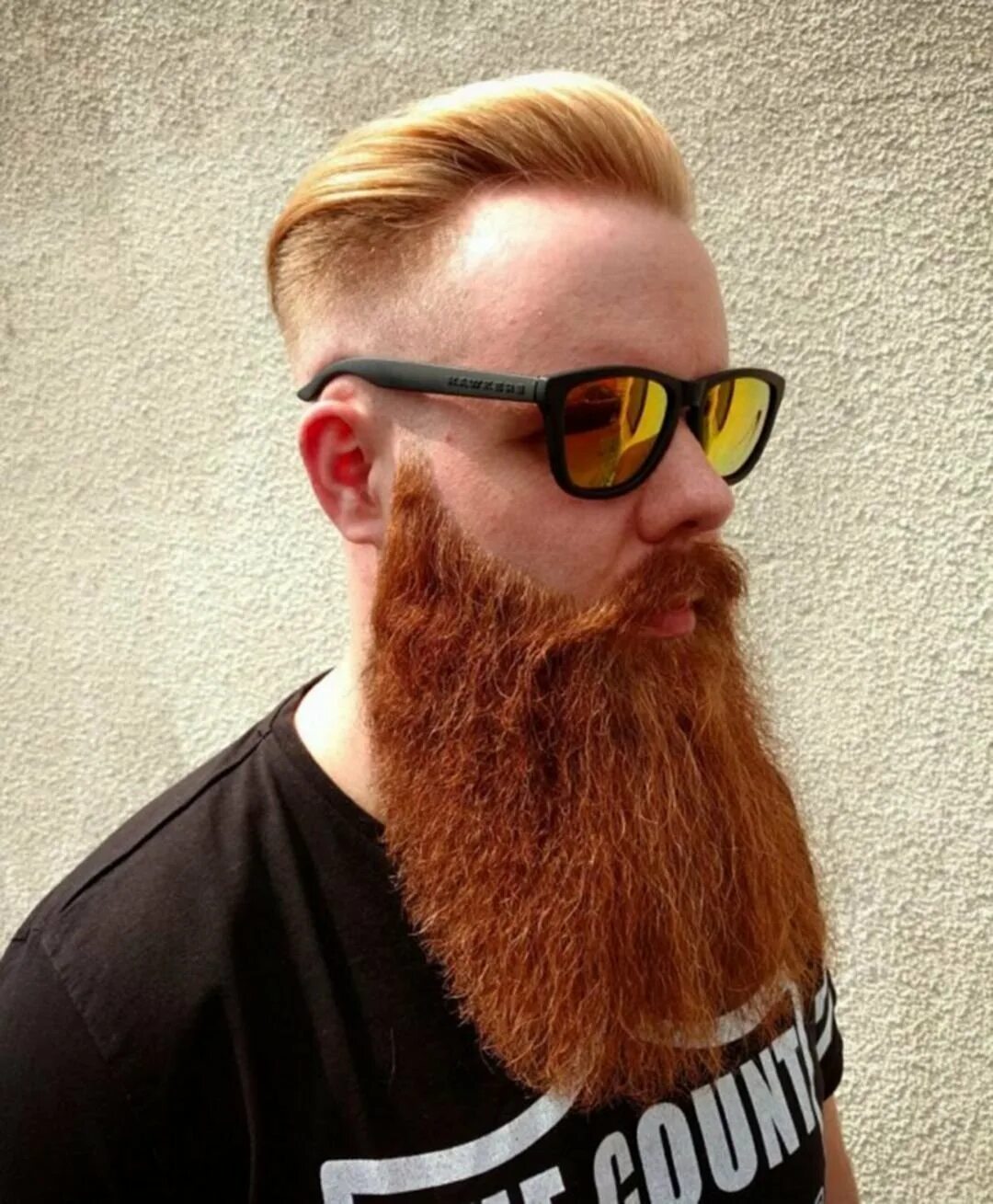 Длинная бородка. Борода Бандхольц. Длинная рыжая борода. Длинная борода.