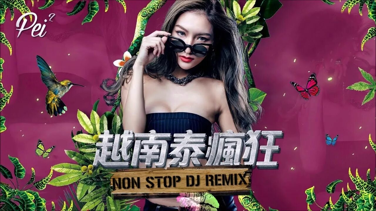 Remix 2017. Нон стоп ремикс. Stop Remix. DJ girl Chinese Remix. Butterfly Chicken越南鼓.