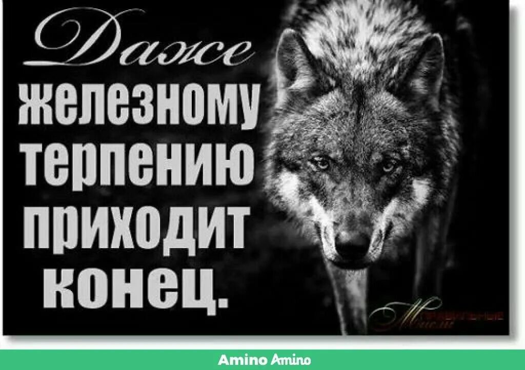 Песня пришел конец. Терпению приходит конец. Моему терпению пришел конец. Терпению приходит конец картинки. Когда нибудь терпению приходит конец.