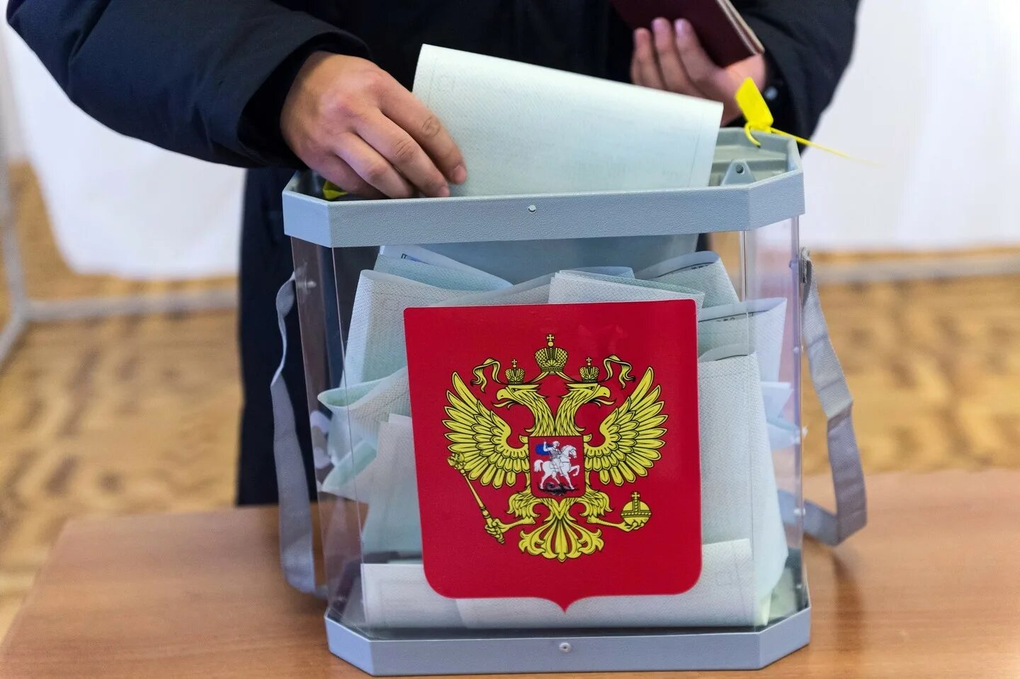 Проведение проведения выборов губернатора