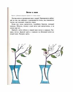 Рабочая тетрадь березы
