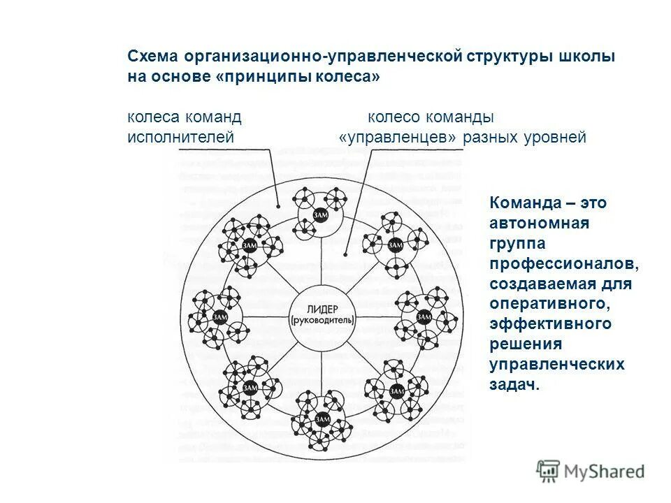Автором модели колесо команды является. Колесо команды. принцип колеса в команде. модель колесо команды. принципы создания команд схемы.