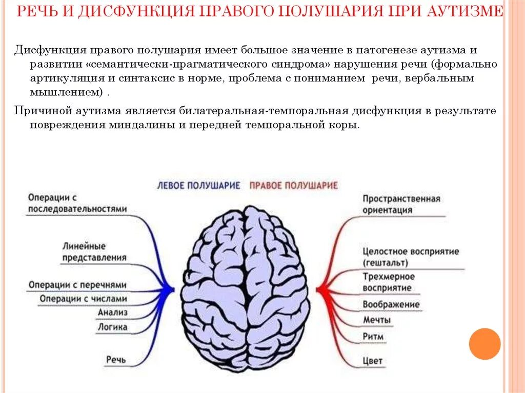 Расстройство полушарий. Особенности правого и левого полушария. Дисфункция правого полушария. Поражение правого полушария. Речевые нарушения при аутизме.