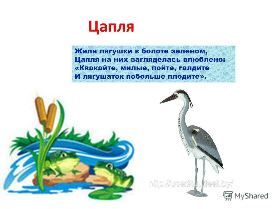 Цапля на болоте. Рисунок к сказке журавль и цапля. Цапля составить слова. Загадка про цаплю для детей. Где живет цапля.
